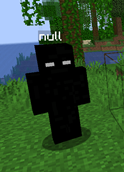 obraz6.png