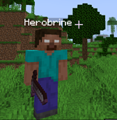 obraz3.png