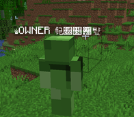 obraz2.png