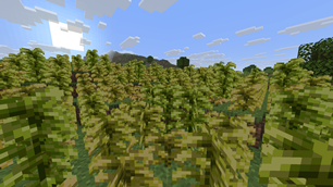 field.png