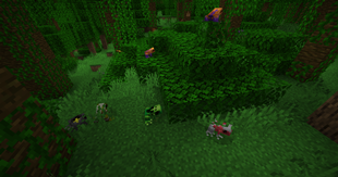 Bunch of dart frogs.