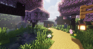 Pond and Llama Farm