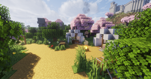 Campsite