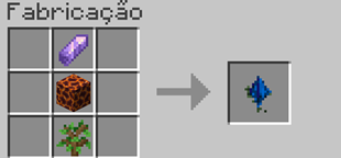 reality fragment recipe