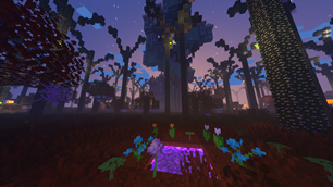 Twilight