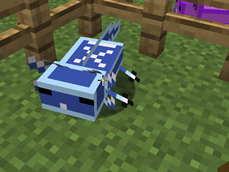 Ice_cold.png