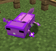 Purple_guy.png