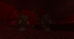 Nether