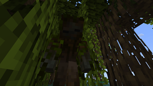 Swampy tangled up on a Mangrove Swamp