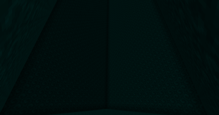Specter Dimension [1 chunk]