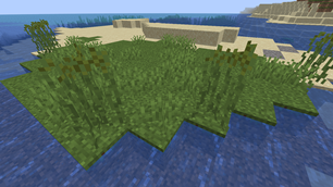 Rice Plant.png