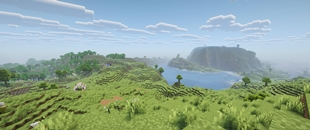 view showcase