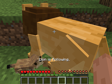 behavior message when interacting
