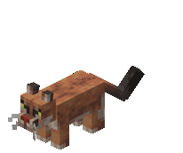 Puma (AKA Mountain Lion)