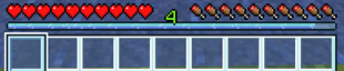Health Bar .png