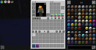 TF Bag
