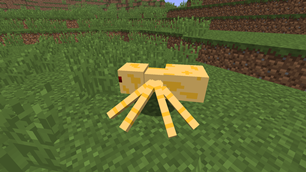 Desert Spider