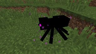 Ender Spider