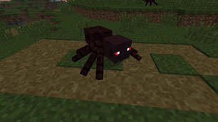 Pig Spider