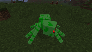 Forest Spider