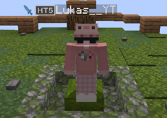 This is how it can look in Minecraft