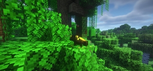 Frog chilling