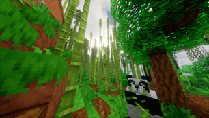 Jungle1