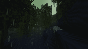 Swamp