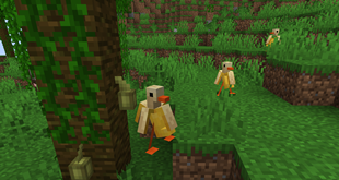 Banana Ducks in Jungle