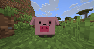 Waddles