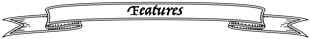 features.png