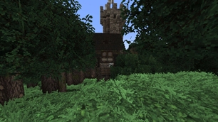 selva4-compressed.jpg