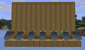 display_armor