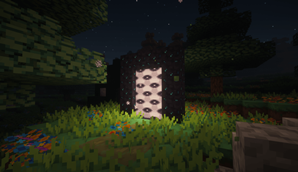 Portal (Complementary)