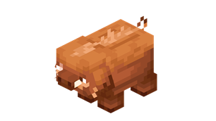 warm_pig.png
