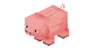 temperate_pig.png
