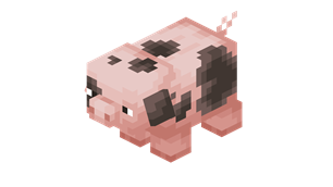 spotted_pig.png