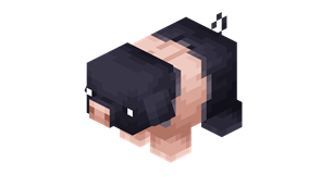 scooty_pig.png