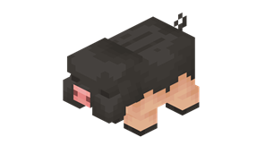 potbelly_pig.png