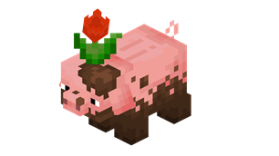 muddy_pig.png