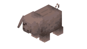 meishan_pig.png