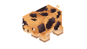 kunekune_pig.png