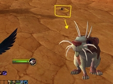 Cuuute Rat.jpg