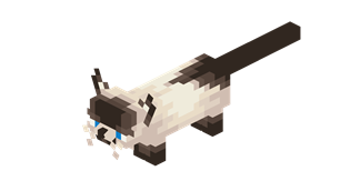 siamese.png