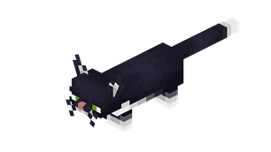 black.png