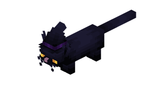 cat.png