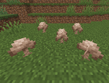 Pale Fungus.png