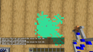 image (7).png