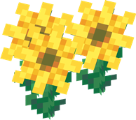 Rocky Mountain Dwarf Sunflowers