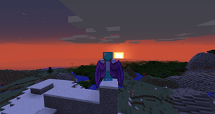 Simple Flight 0.8 (1)